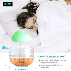Desktop Rain Cloud Humidifier & Diffuser