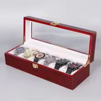 Stylish Men's Watch Storage and Display Case